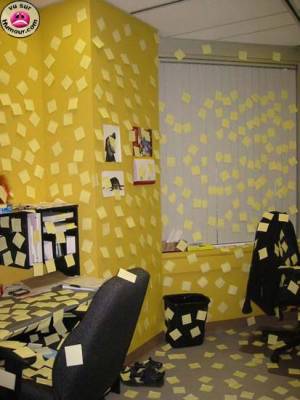 un bureau de blonde