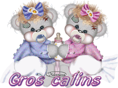 bonjour a vous