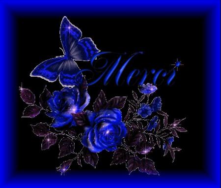 juste merci a mes ami(e)s !!