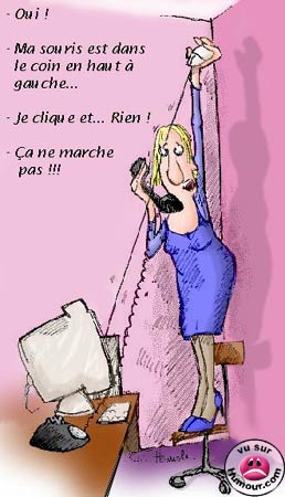 les blondes