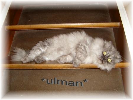 ulman