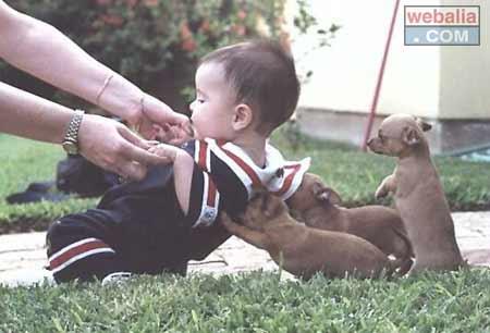 trop beau!!!!